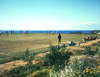 Grecian Bay 